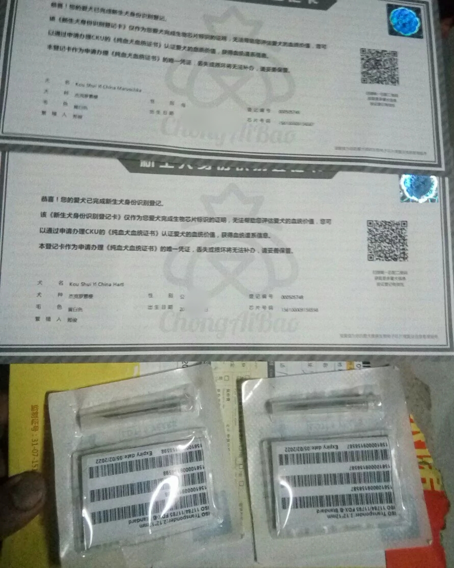 杰克罗素梗对外借配